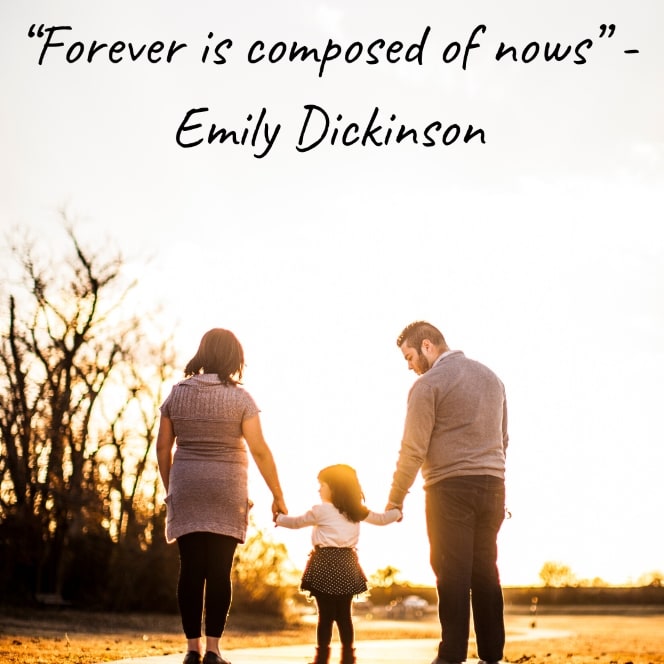 emily dickinson quote about mindfulness