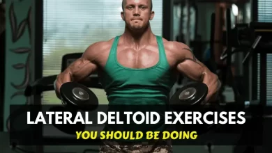 lateral deltoid exercises